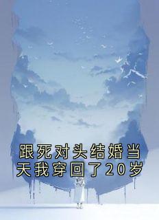 跟死对头结婚当天我穿回了20岁