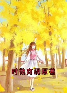 时微商砚原著