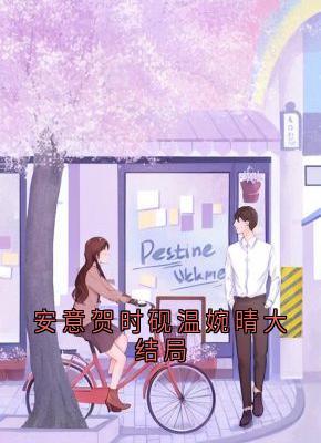 安意贺时砚温婉晴大结局