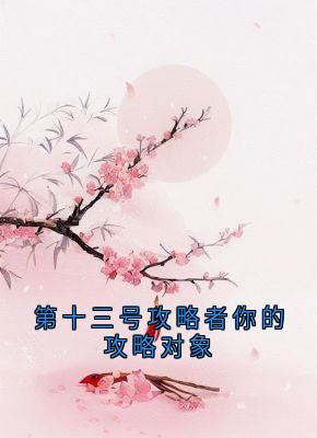 第十三号攻略者你的攻略对象