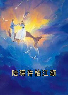 陆琛许柚江颂