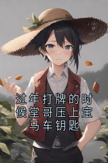 过年打牌的时候堂哥压上宝马车钥匙